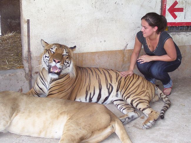 Unbelieavable Pictures from Lujan Zoo in Argentina