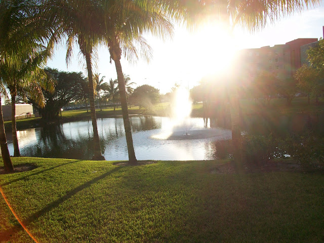 sunrise,FIU,photos