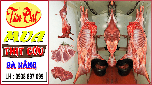 Mua thịt cừu tươi tại Đà Nẵng uy tín đảm bảo giá tốt