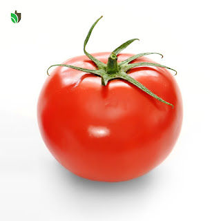 Hạt giống cà chua (Solanum lycopersicum)