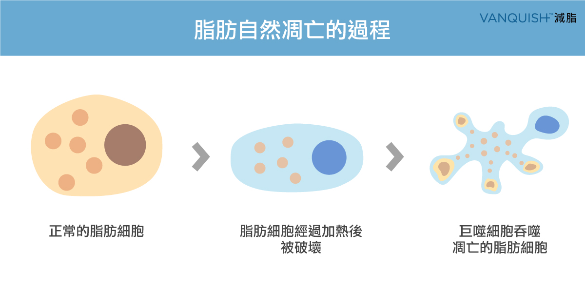 隔空減脂評價隔空減脂ptt隔空減脂5980隔空減脂高雄隔空減脂有效嗎隔空減脂桃園隔空減脂台南隔空減脂新竹隔空減脂台北隔空減脂副作用減脂增基重訓不減脂增肌減脂不減脂增肌減腰脂肪增肌減脂順序增肌減脂迷思脂期增肌期為何你不該增肌減脂8週減肥VANQUISH減脂緊緻瘦身後背肉腹部大腿手臂掰掰袖橘皮減脂過程急速減脂有效減脂運動減脂藥增肌減脂早餐正確減脂減脂重點新手增肌減脂減脂關鍵減脂規劃