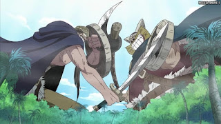 ワンピース アニメ 巨兵海賊団 ドリー ブロギー ONE PIECE Giant Warrior Pirates DORRY