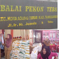 Pekon Teba Salurkan Bantuan Beras Bulog untuk 142 KPM