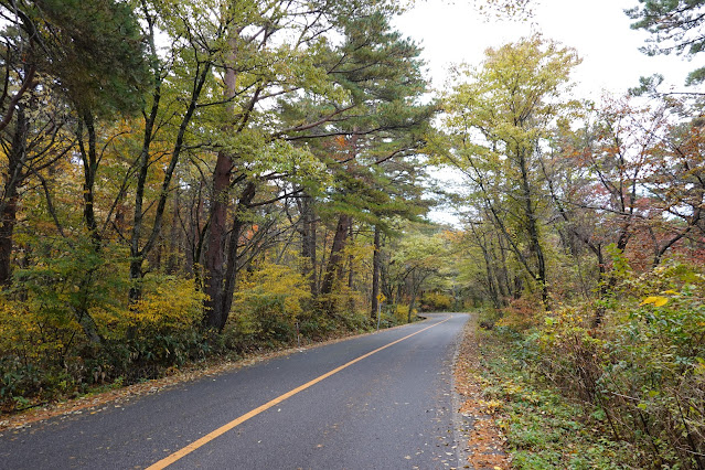 鳥取県西伯郡伯耆町岩立　鳥取県道45号倉吉江府溝口線（大山環状道路）