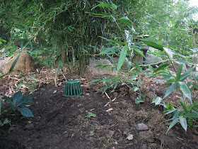 final drain backyard, gutter, roof drain pipe