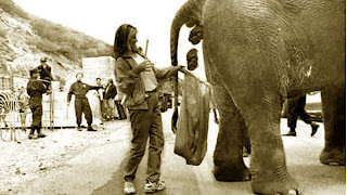 Kotoran Gajah Indonesia Jadi Kertas Oleh Australia