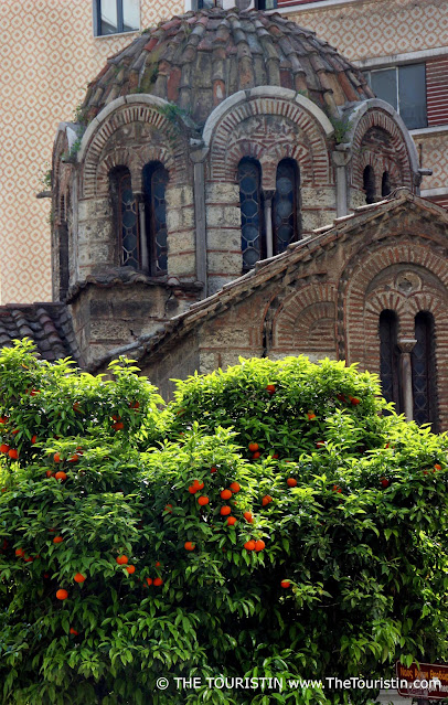Brightly coloured oranges on a lush green tree in front of a brown-red byzantine-style church.