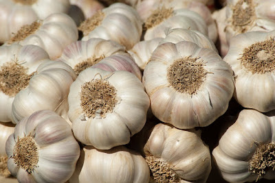 When To Dig Out The Garlic