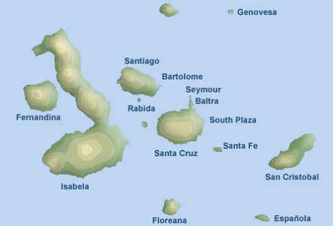 tortoises on other islands