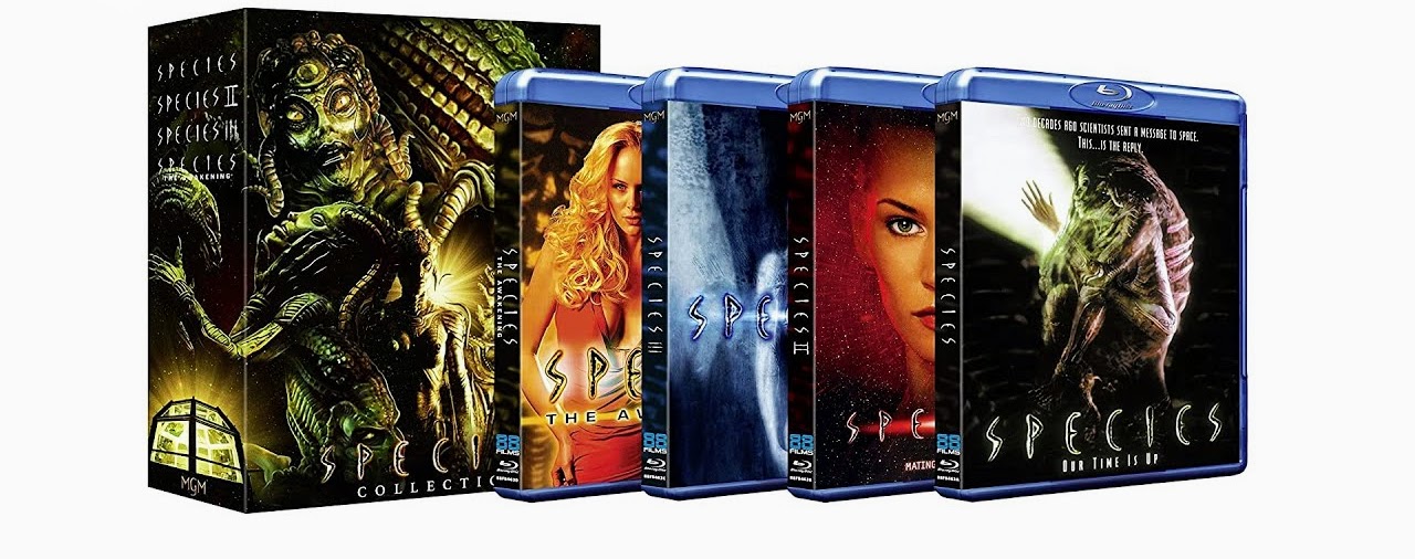 Conception: The Complete Series [Blu-ray] : : Películas y  Series de TV