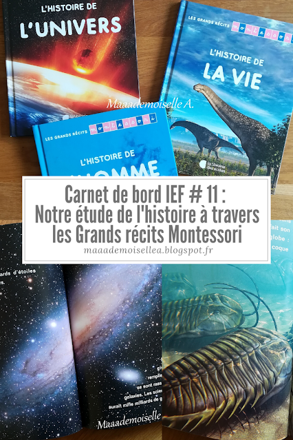 Carnet de bord IEF # 11 : Notre étude de l'histoire à travers les Grands récits Montessori