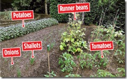 The Queen's Veg Patch2