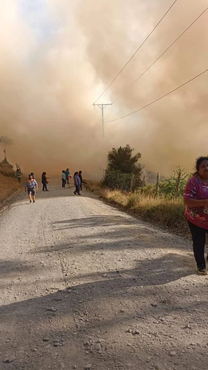 Contenido Incendio Forestal en San Juan de la Costa