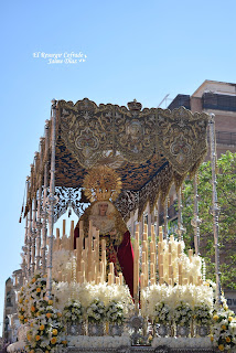 Luz Granada