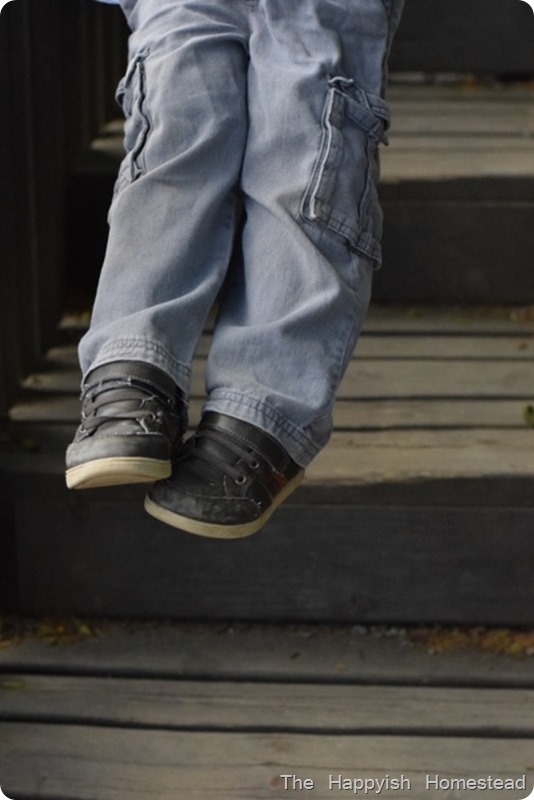 DSC_0067