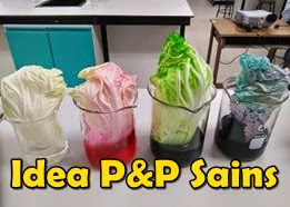 Idea P&P Sains - Hasil perkongsian rakan guru Sains di 'Cikgu Sains Kreatif'