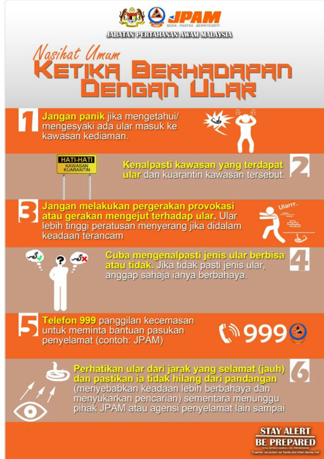 Tips menanggani ular