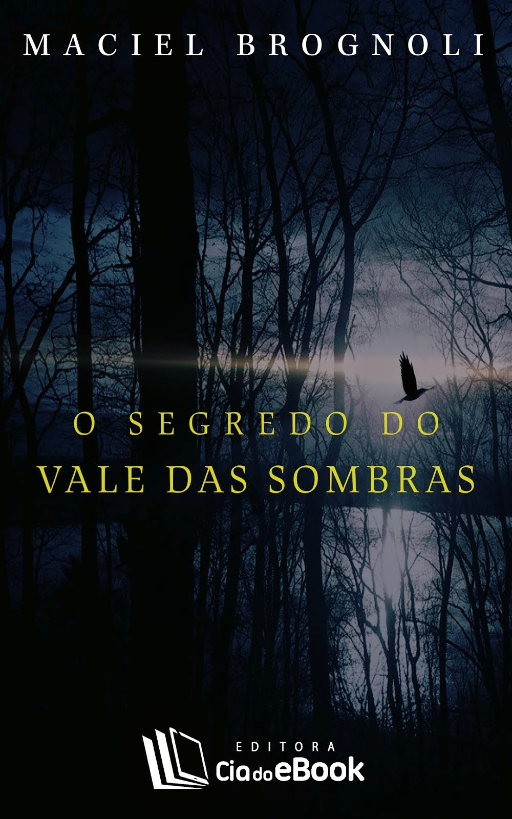 Livro e-book - Amazon, AppleStore, AppStore, Kobo, Livraria Cultura e Saraiva