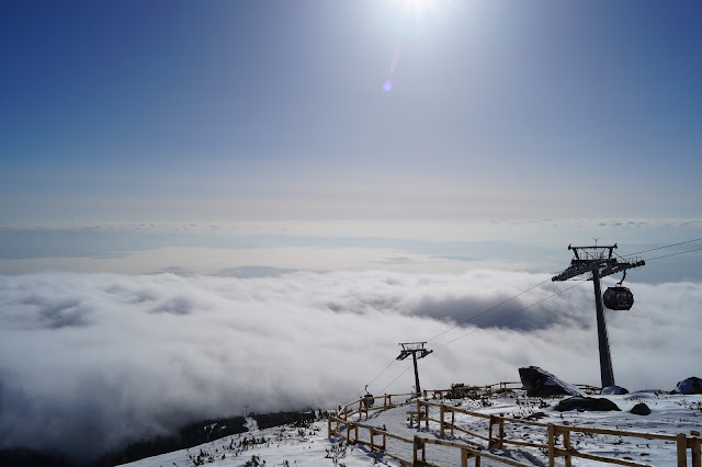 Dlaczego warto pojechać na narty/snowboard na Słowację?