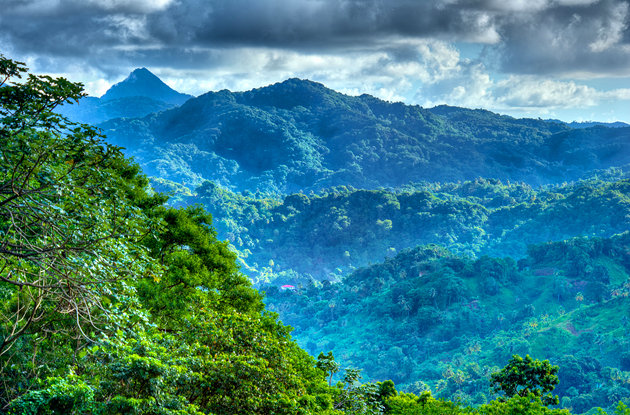 Edmund Rain Forest Reserve - Enbas Saut Waterfall Trail