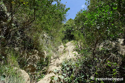 Volta a la serra de Bestracà