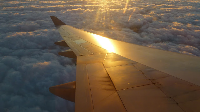 The orange sun reflects off the wing