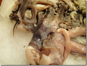1. octopus