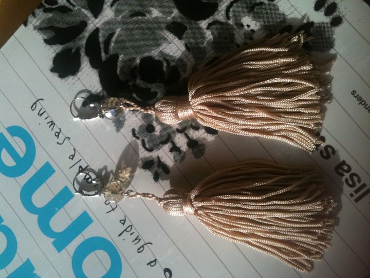 Recent Buy — Tassle earings