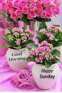 Sunday Good Morning  Images In Hindi