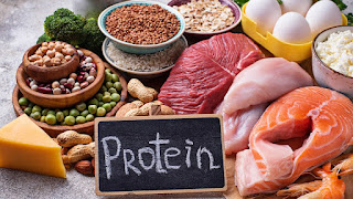 protein diet