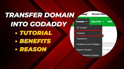 Transfer Domain Into Godaddy Tutorial-