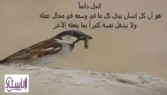 Inspirational-story-Bird's-Tale