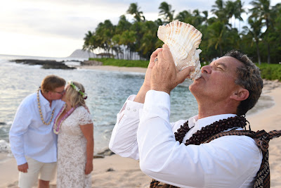 Conch Shell