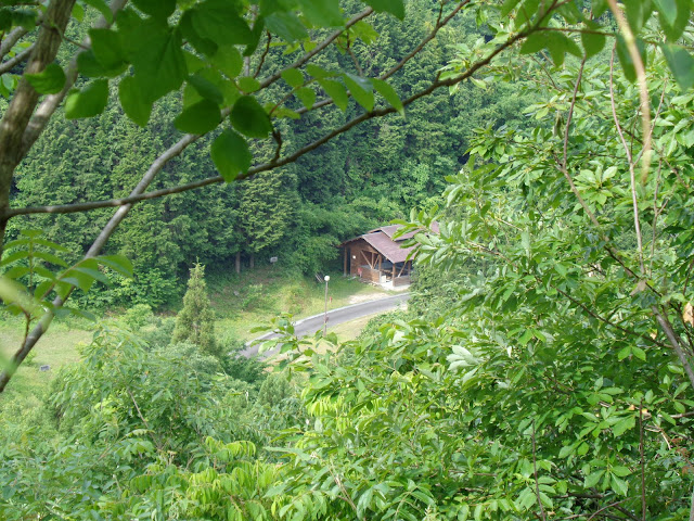 森林公園キャンプ場