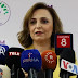 DEM Parti’den Öcalan Mesajı: “Tecrit Devam Ediyor, İmralı Hazır”