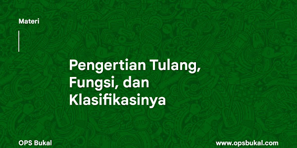 Pengertian Tulang serta Fungsi dan Klasifikasinya