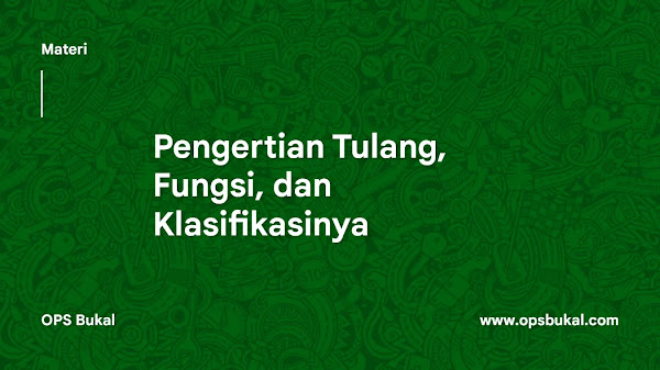 Pengertian Tulang serta Fungsi dan Klasifikasinya