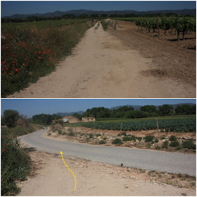 SANTA OLIVA CAMÍ DELS TURONS + CAMÍ DEL CAMP DE COLL - ESGLESIA DE SANT MIQUEL - RIERA DE SANT MIQUEL, Camí a les terres de Mas Jover al terme municipal de Banyeres del Penedès - Baix Penedès