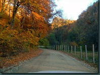 DSCN8987