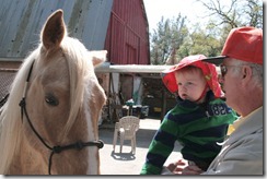 04 micah and horse