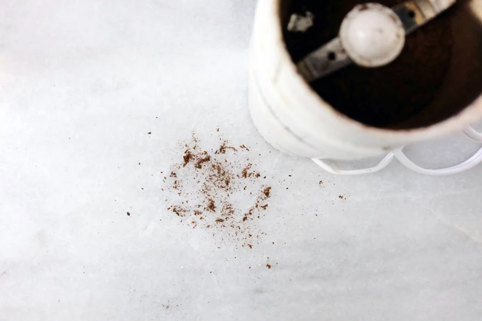 vanilla bean pods after the spice grinder