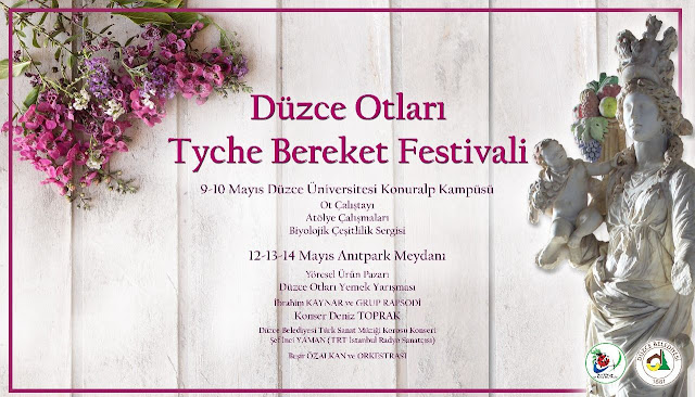3. Düzce Otları Tyche Bereket Festivali Düzce Otları Çalıştayı