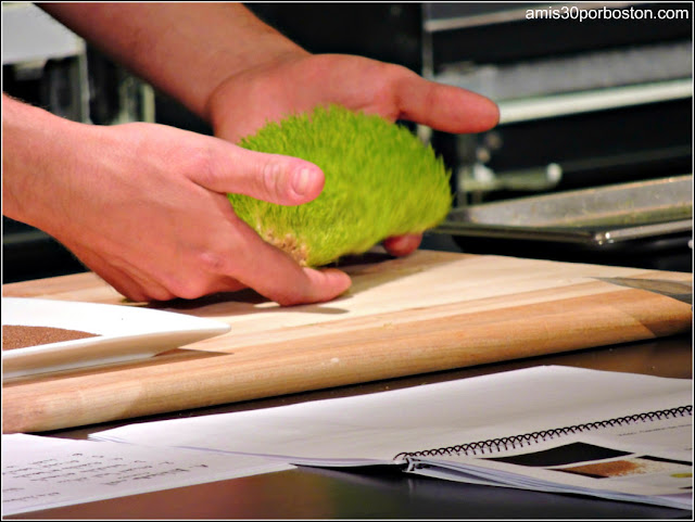 Andoni Luis Aduriz en la Science and Cooking de la Universidad de Harvard