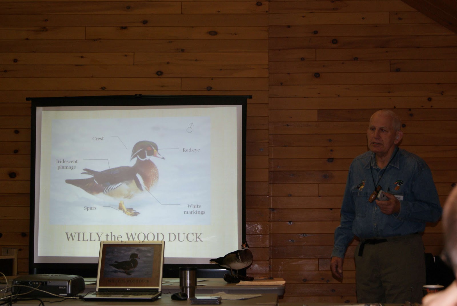 Wood Duck Nesting Boxes