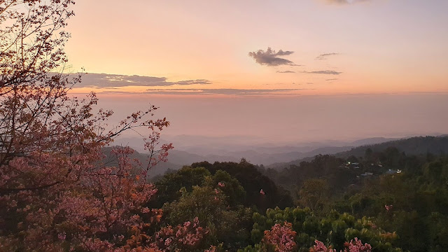 doi phahom pok national park, doi pha hom pok national park, doi phahom pok, doi pha hom pok, phahom pok national park, pha hom pok national park