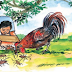 Raju And the Rooster