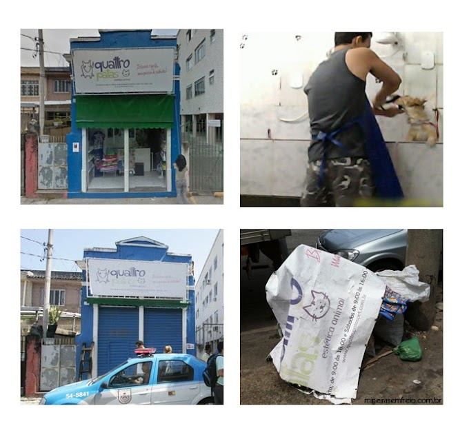 Pet Shop 4 Patas - como a sociedade destrói em nome da "justiça"