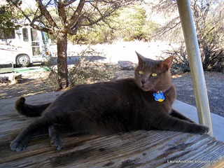 Luna relaxes in site 16