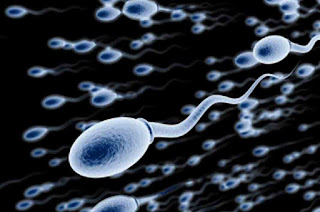 Benefits of Swallowing Sperm