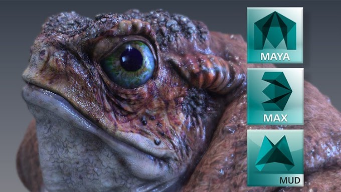 3D Animation and Modeling Master Class [Free Course]
